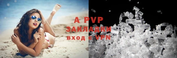 круглые Белокуриха