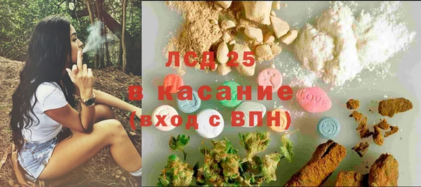 круглые Белокуриха