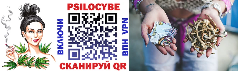 Псилоцибиновые грибы Psilocybe  Ядрин 